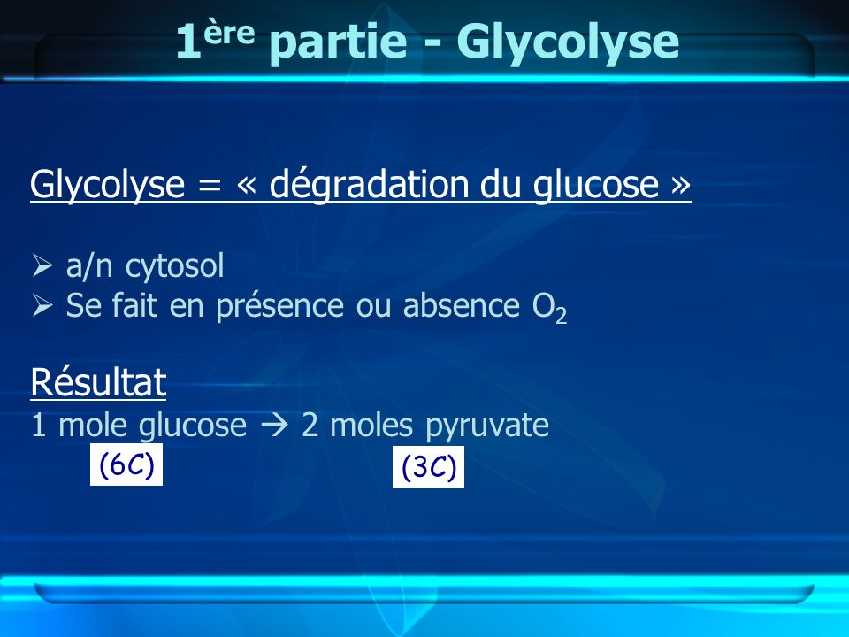 1ère partie - Glycolyse Glycolyse = « dégradation du glucose »