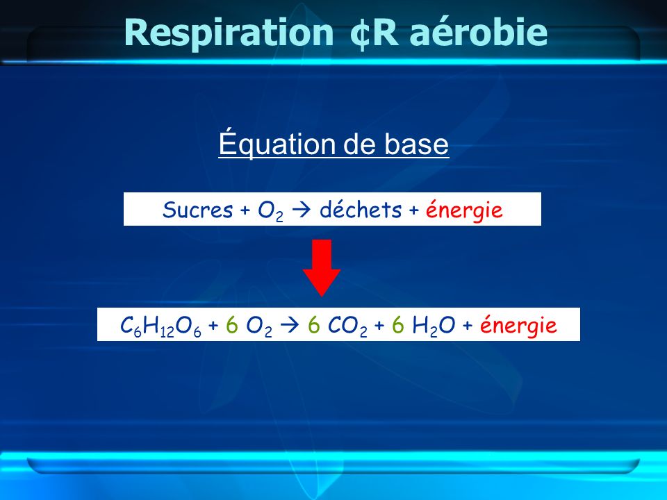 Respiration ¢R aérobie