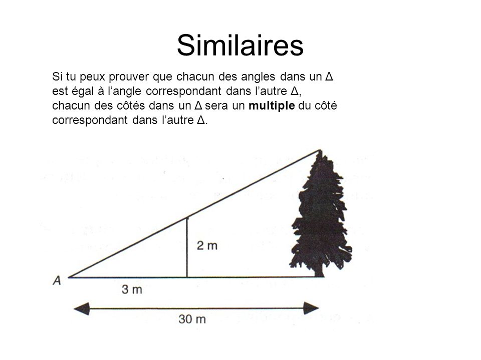 Similaires