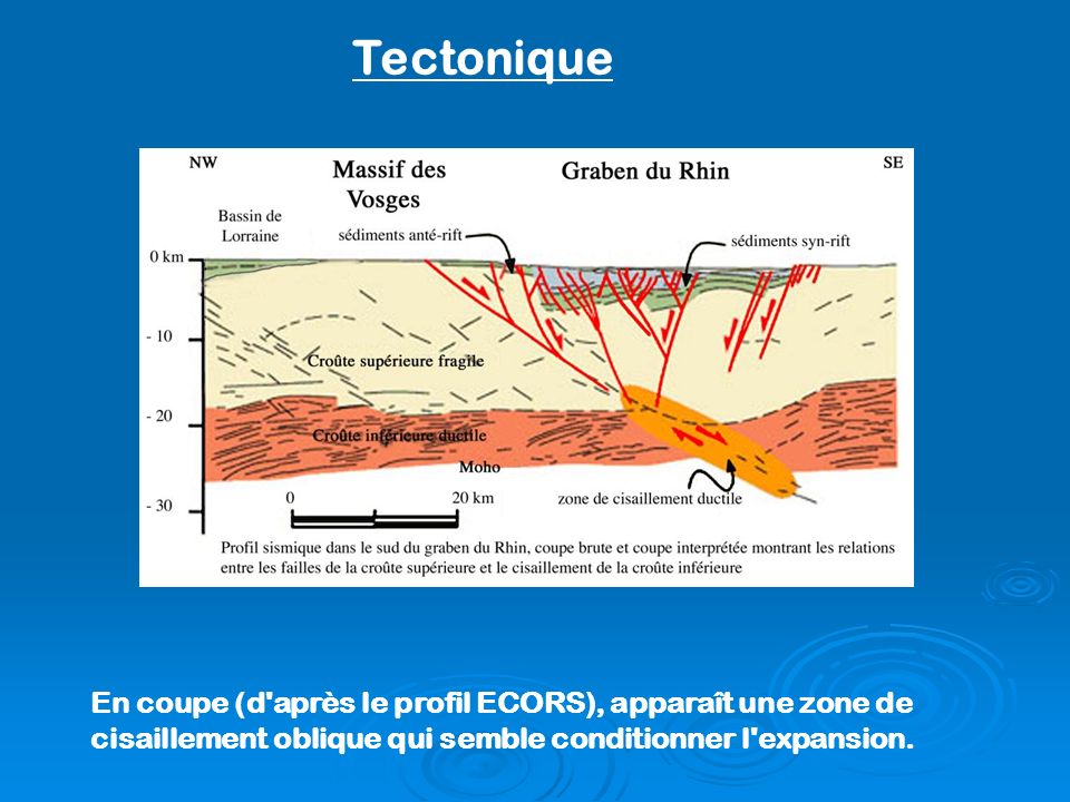Tectonique En coupe (d après le profil ECORS), apparaît une zone de cisaillement oblique qui semble conditionner l expansion.