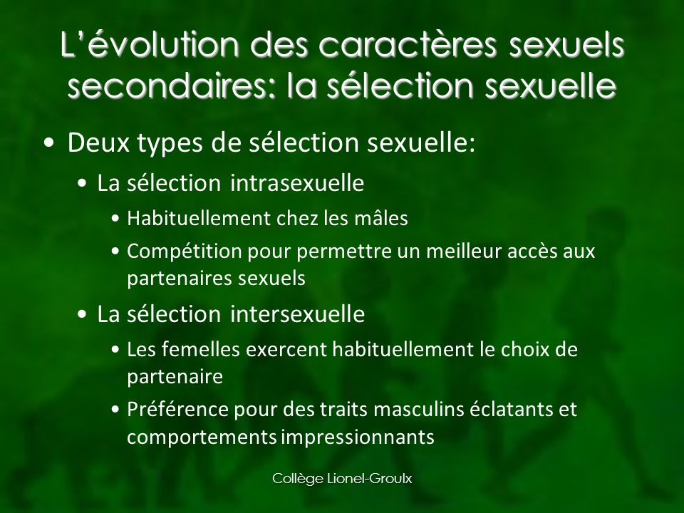 L’évolution des caractères sexuels secondaires: la sélection sexuelle