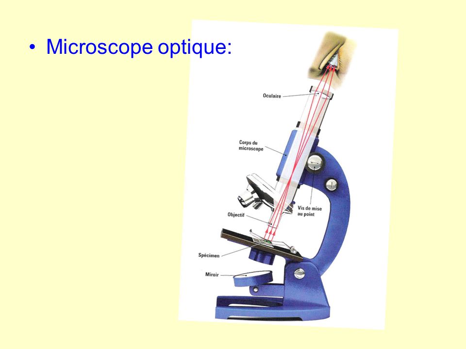 Microscope optique: