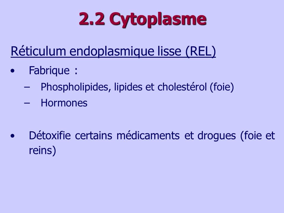 2.2 Cytoplasme Réticulum endoplasmique lisse (REL) Fabrique :