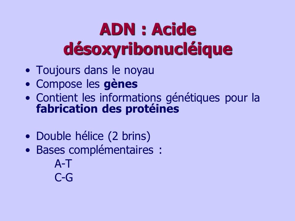 ADN : Acide désoxyribonucléique