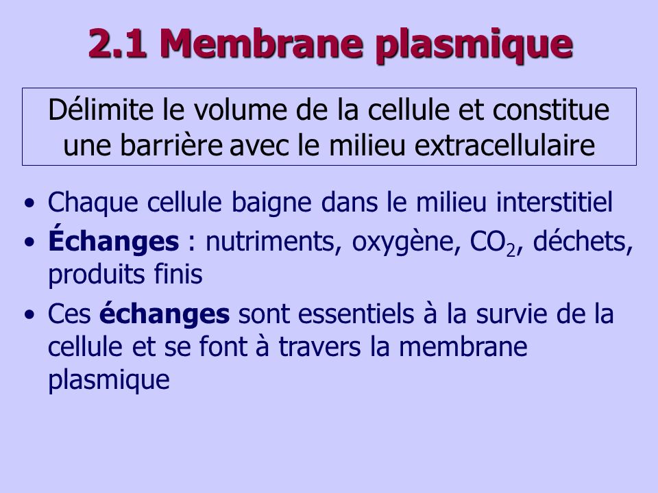 2.1 Membrane plasmique Délimite le volume de la cellule et constitue une barrière avec le milieu extracellulaire.