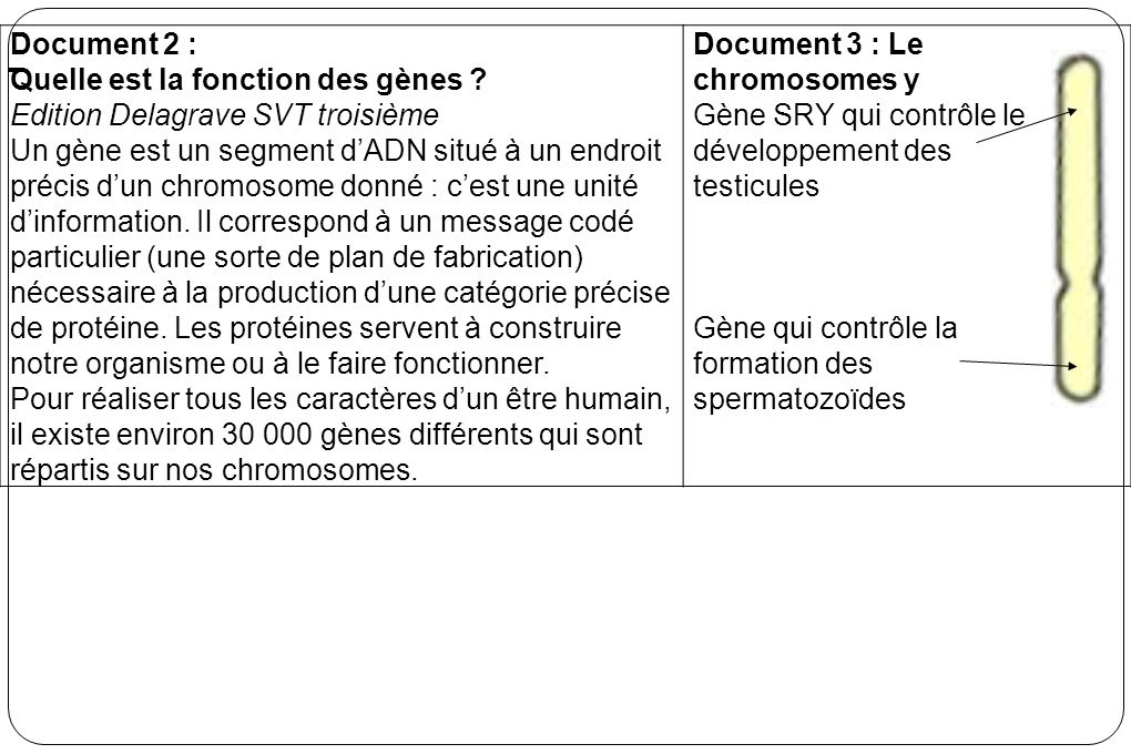 Document 2 : Quelle est la fonction des gènes Edition Delagrave SVT troisième.