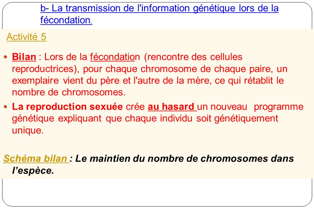 b- La transmission de l information génétique lors de la fécondation.