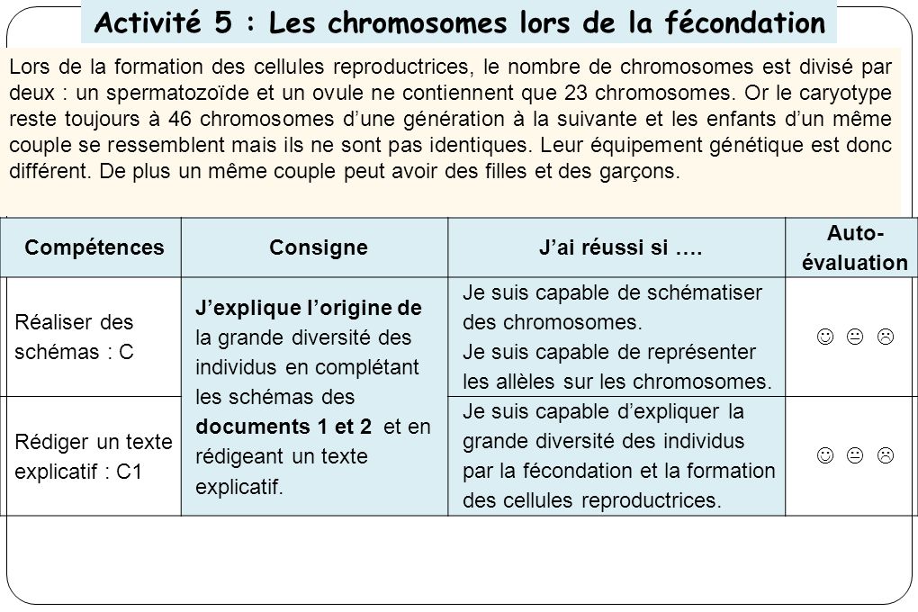 Activité 5 : Les chromosomes lors de la fécondation