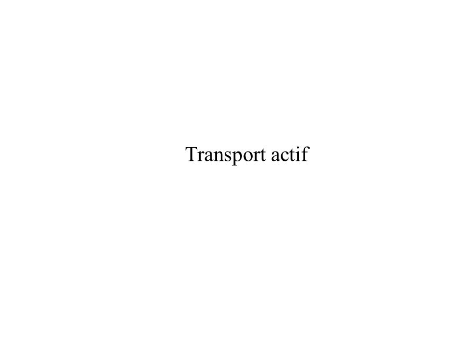 Transport actif