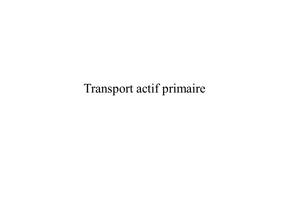 Transport actif primaire