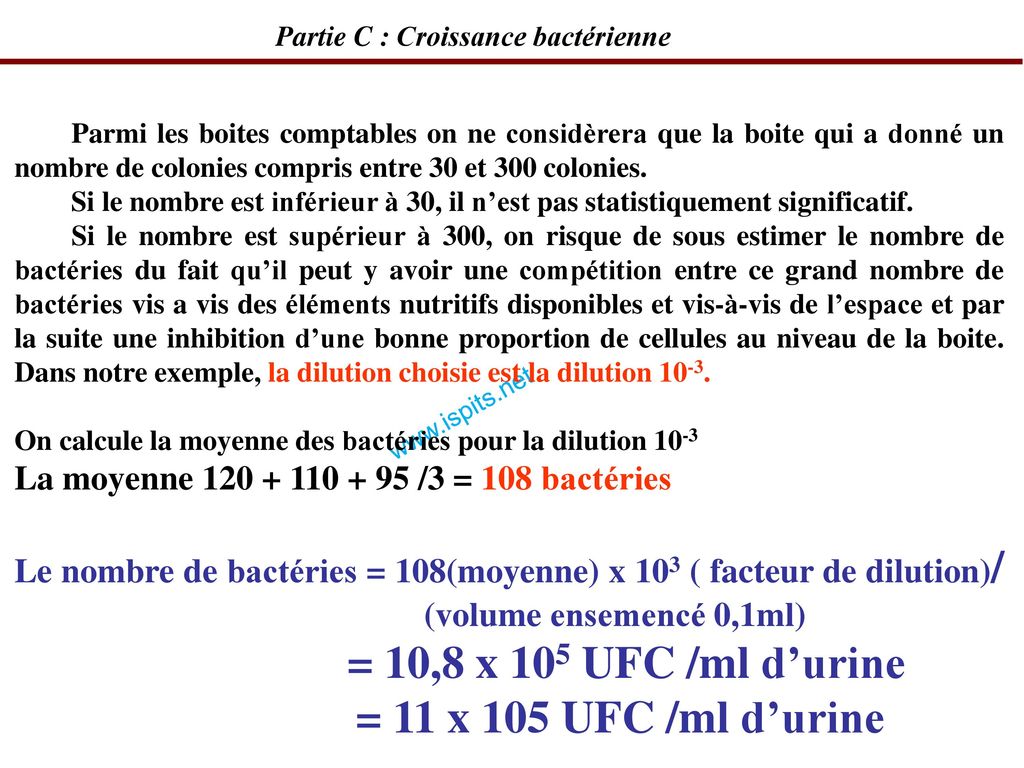 Partie C : Croissance bactérienne