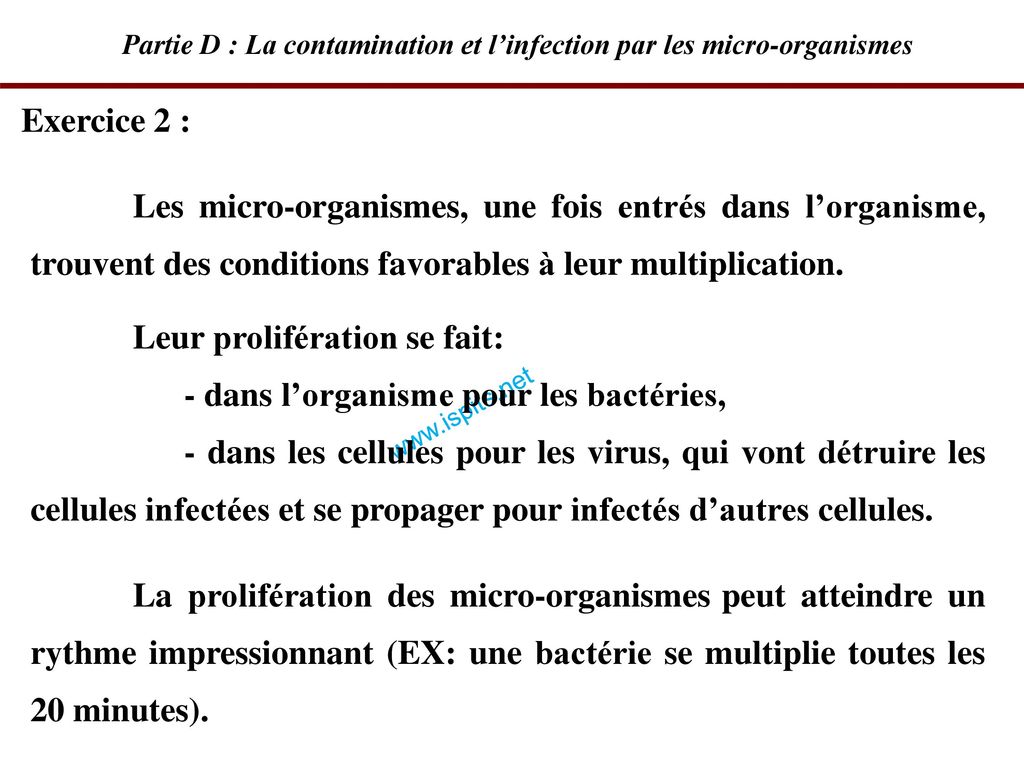 Partie D : La contamination et l’infection par les micro-organismes