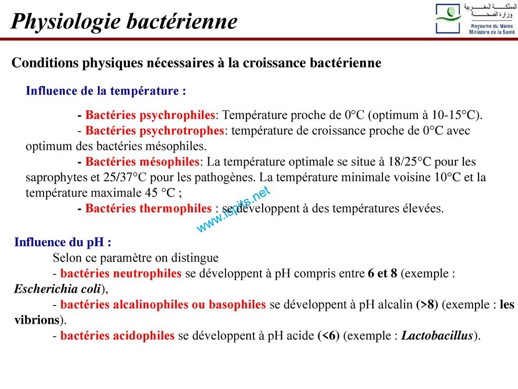 Physiologie bactérienne