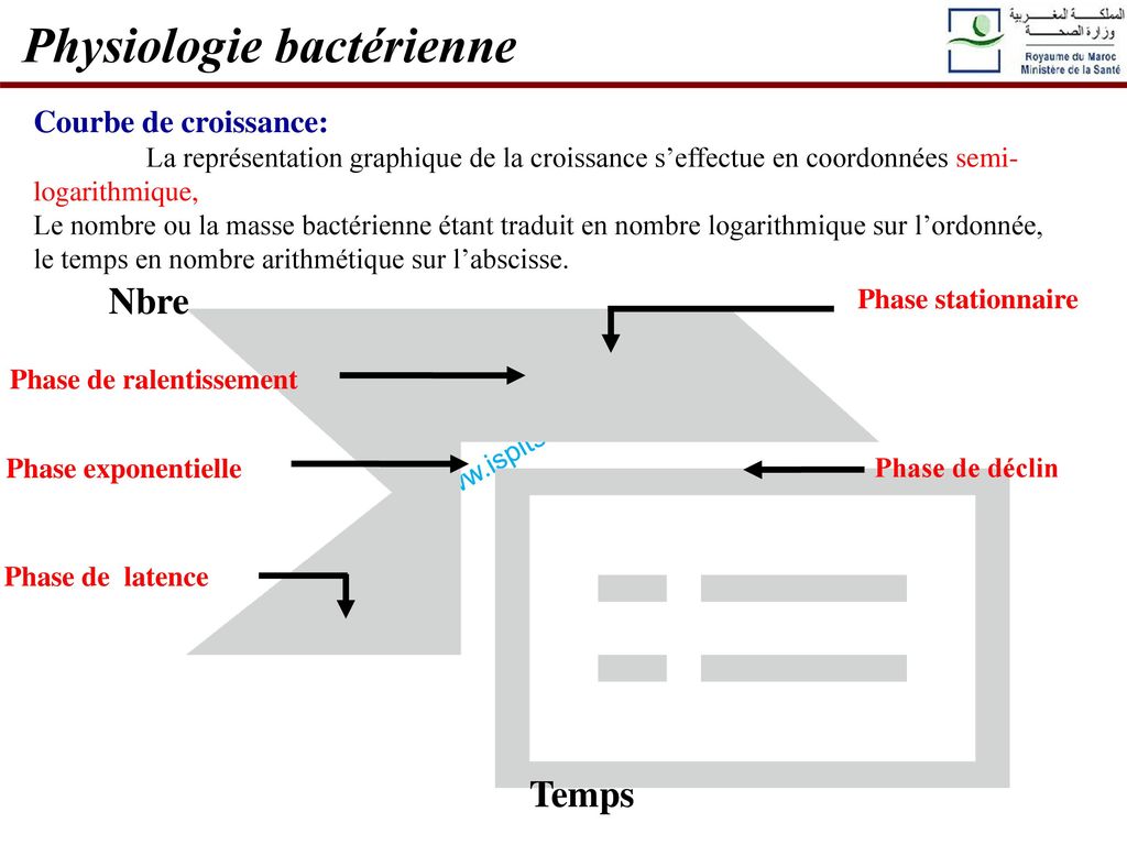 Physiologie bactérienne