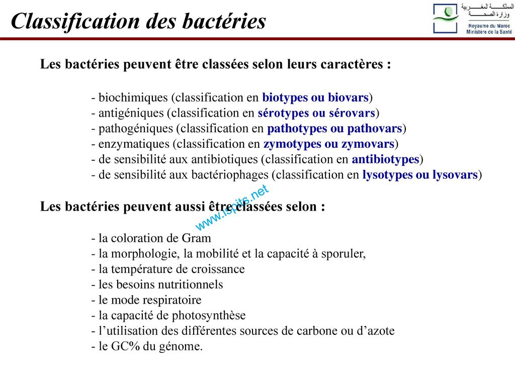 Classification des bactéries