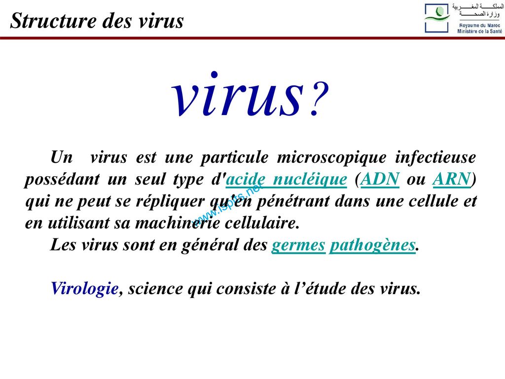 virus Structure des virus