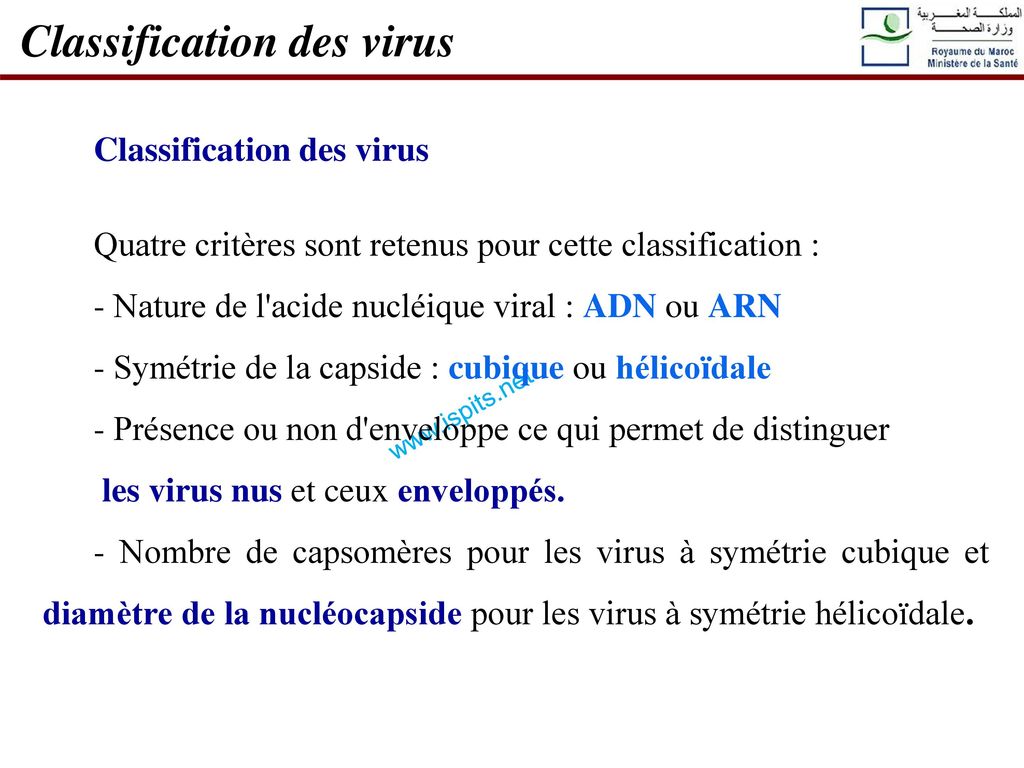 Classification des virus