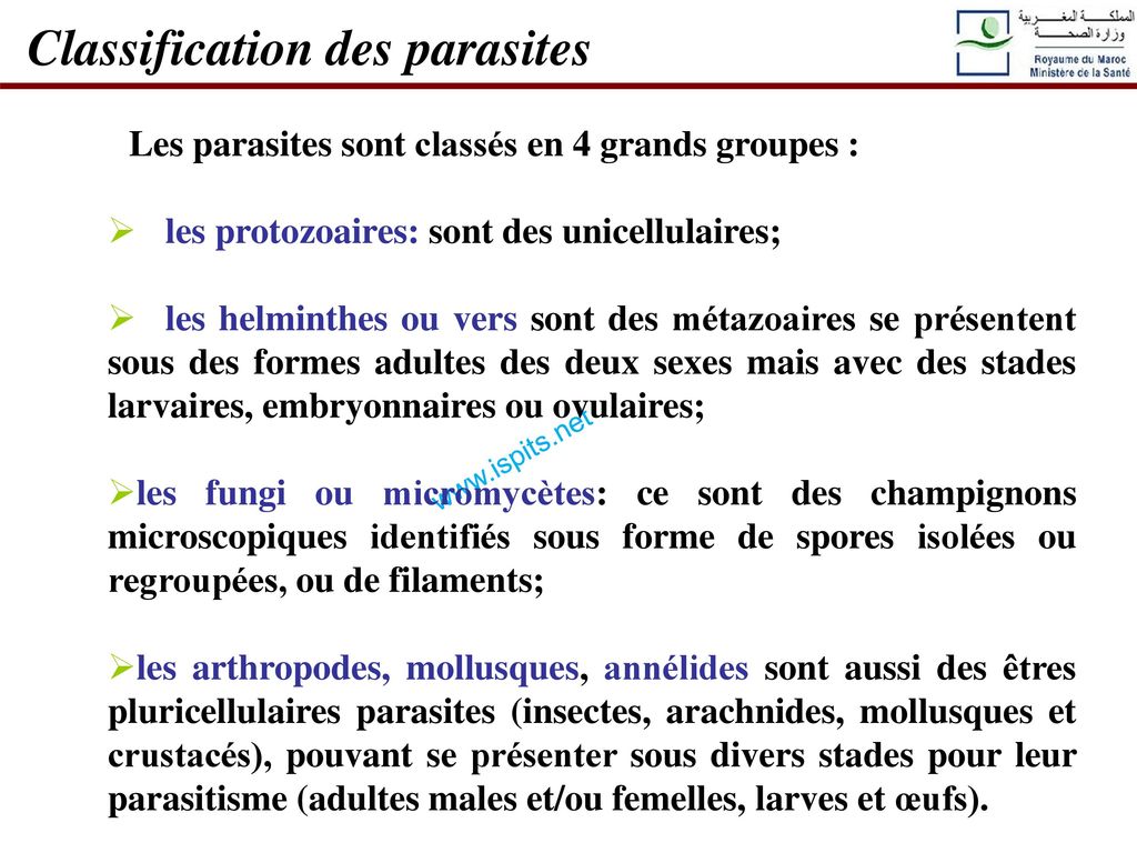 Classification des parasites