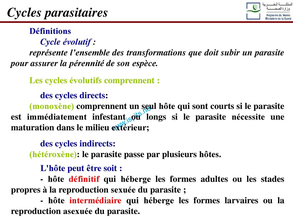 Cycles parasitaires Définitions Cycle évolutif :