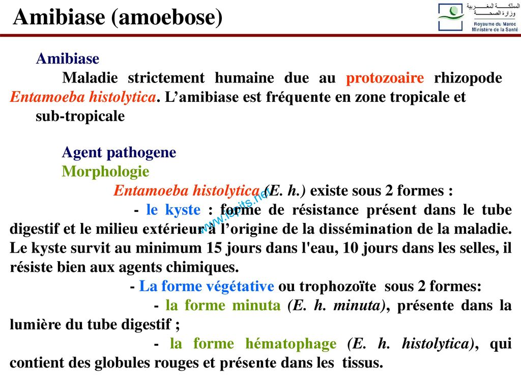 Amibiase (amoebose) Amibiase
