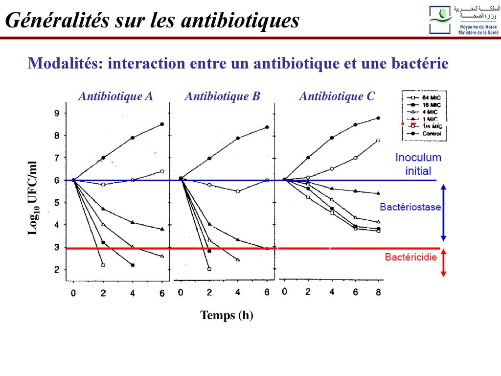 Modalités: interaction entre un antibiotique et une bactérie