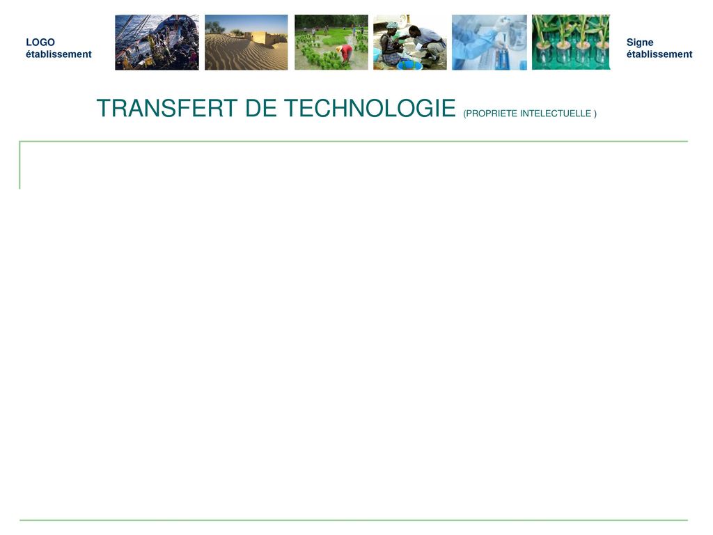 TRANSFERT DE TECHNOLOGIE (PROPRIETE INTELECTUELLE )