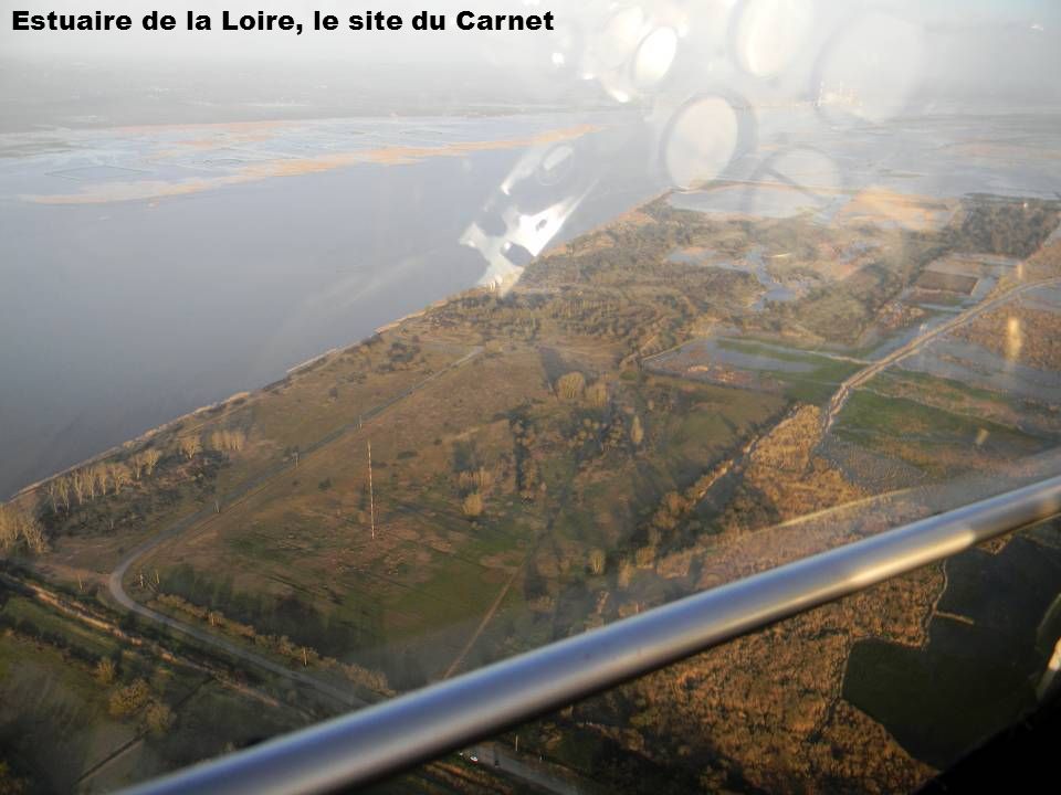 Estuaire de la Loire, le site du Carnet