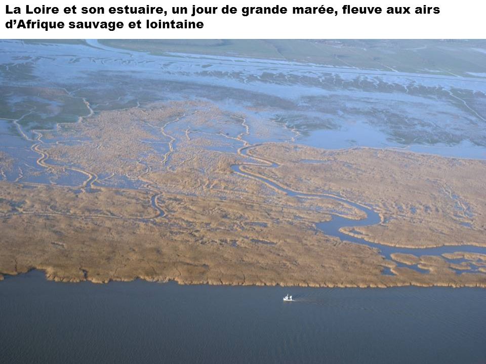 La Loire et son estuaire, un jour de grande marée, fleuve aux airs d’Afrique sauvage et lointaine