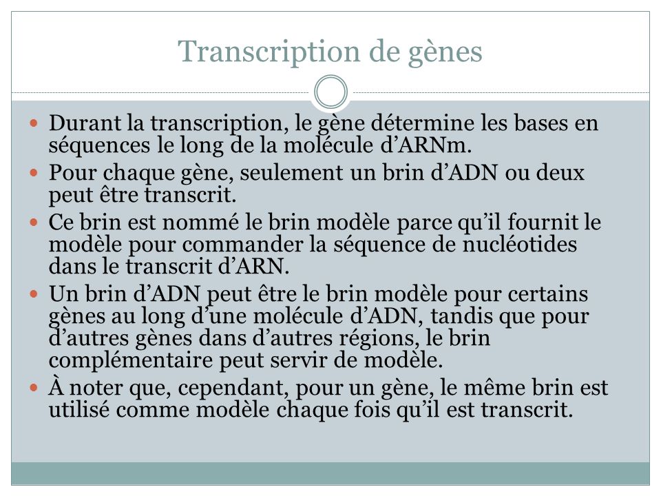 Transcription de gènes