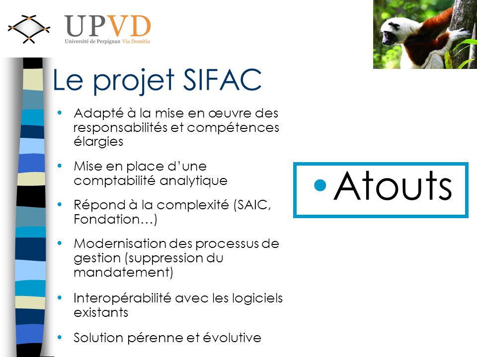 Le projet SIFAC Adapté à la mise en œuvre des responsabilités et compétences élargies. Mise en place d’une comptabilité analytique.