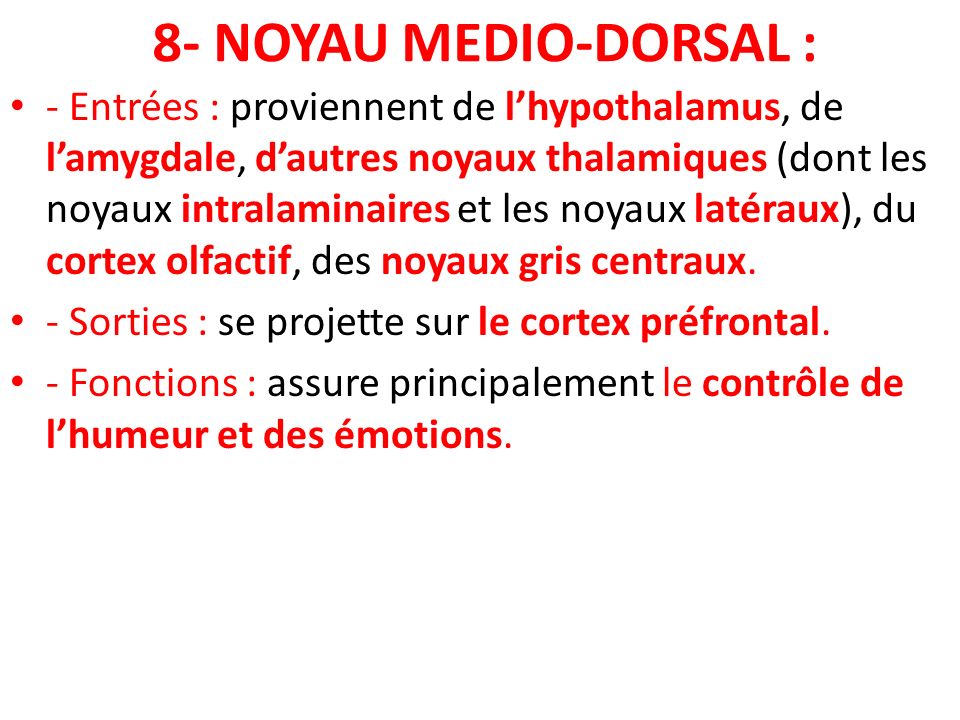 8- NOYAU MEDIO-DORSAL :