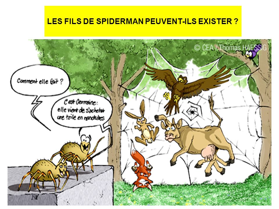 LES FILS DE SPIDERMAN PEUVENT-ILS EXISTER