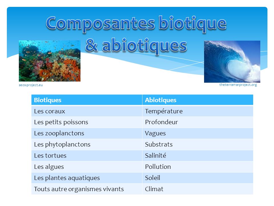 Composantes biotique & abiotiques