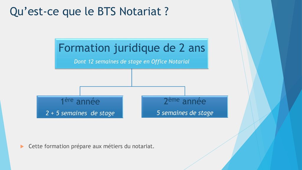 presentation bts notariat