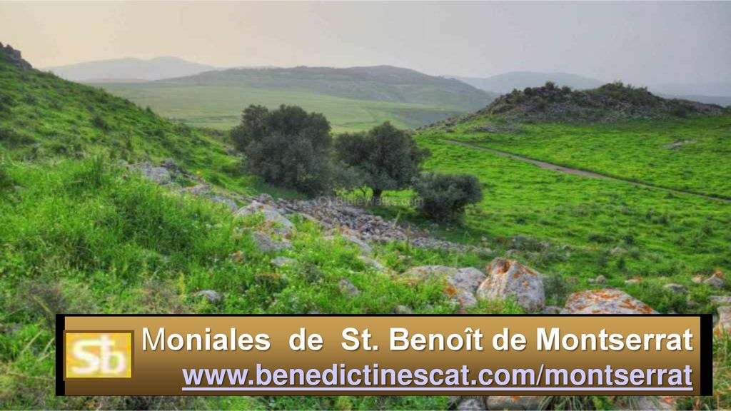 Moniales de St. Benoît de Montserrat www. benedictinescat