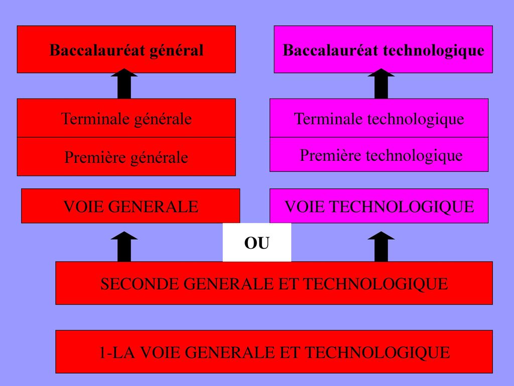 1-LA VOIE GENERALE ET TECHNOLOGIQUE