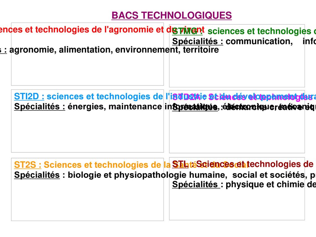 BACS TECHNOLOGIQUES STAV : sciences et technologies de l agronomie et du vivant. Spécialités : agronomie, alimentation, environnement, territoire.