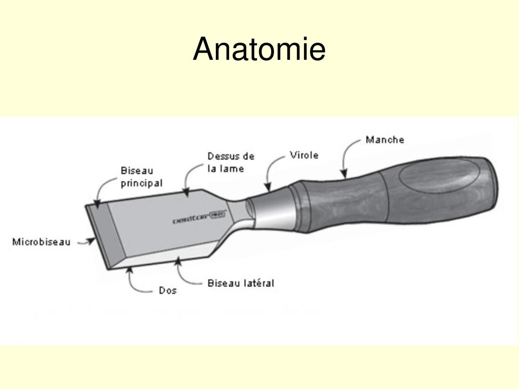 Articles - Anatomie et choix d'un ciseau à bois