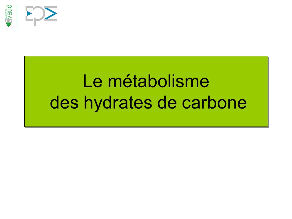 Le métabolisme des hydrates de carbone