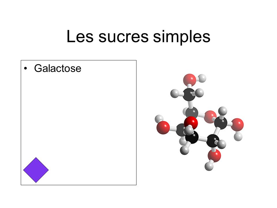 Les sucres simples Galactose