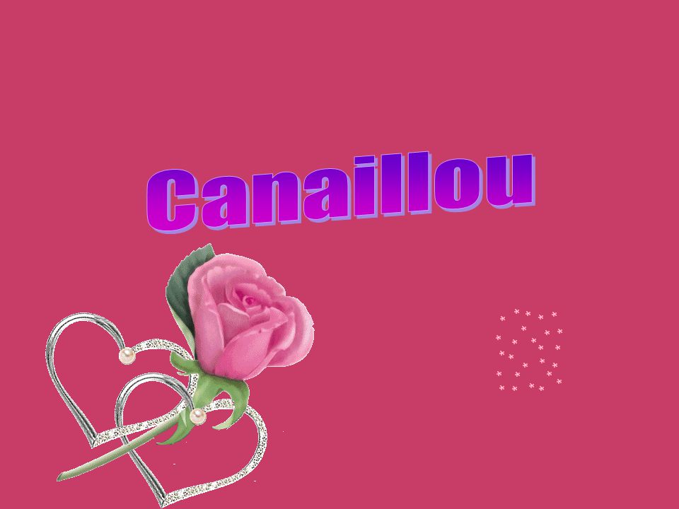 Canaillou