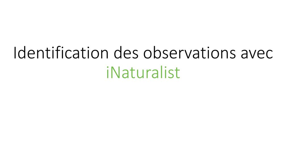 Identification des observations avec iNaturalist