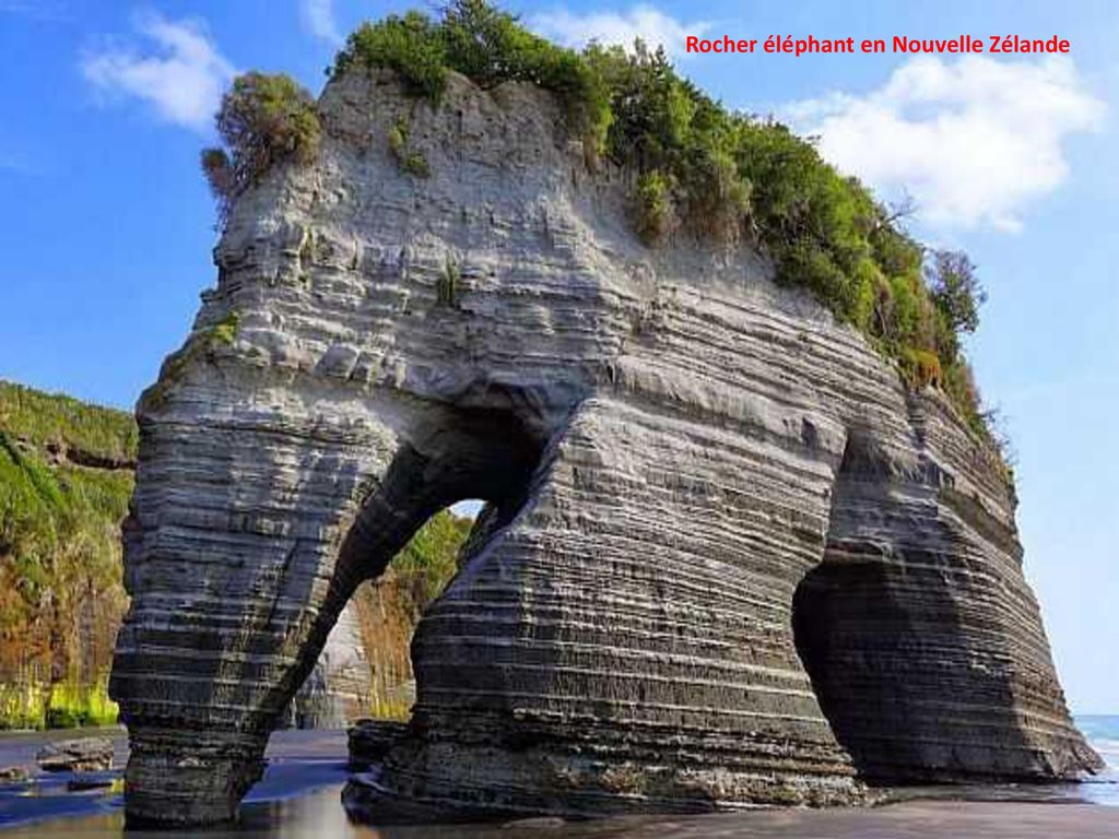 Rocher éléphant en Nouvelle Zélande