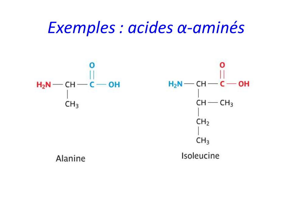 Exemples : acides α-aminés