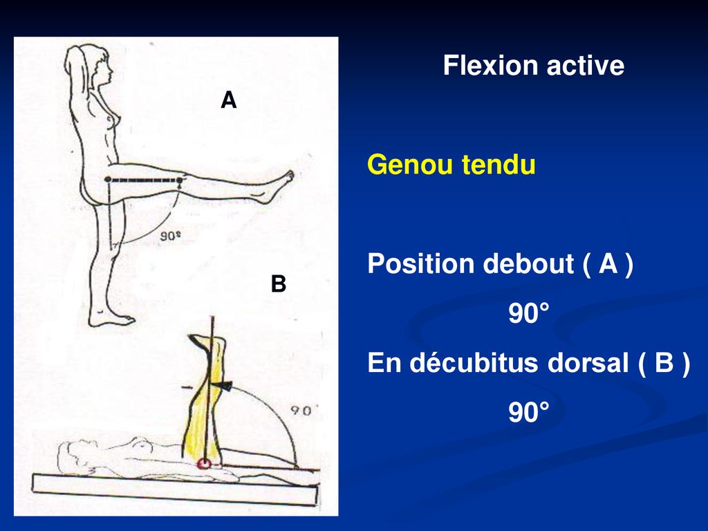 En décubitus dorsal ( B )