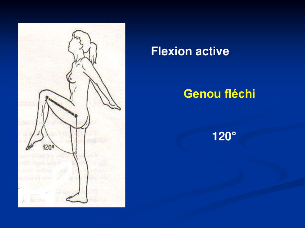 Flexion active Genou fléchi 120°