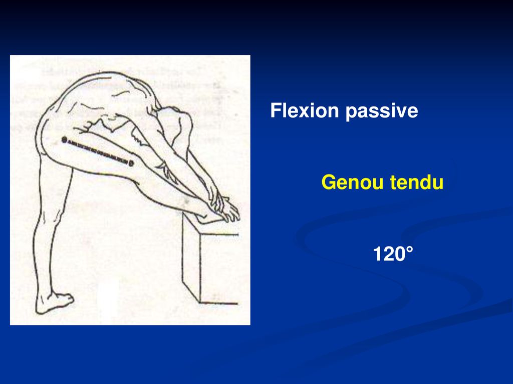 Flexion passive Genou tendu 120°
