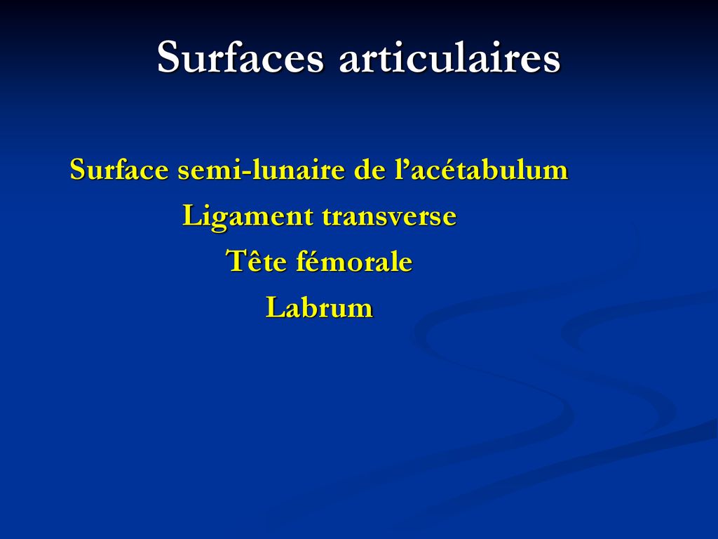 Surfaces articulaires