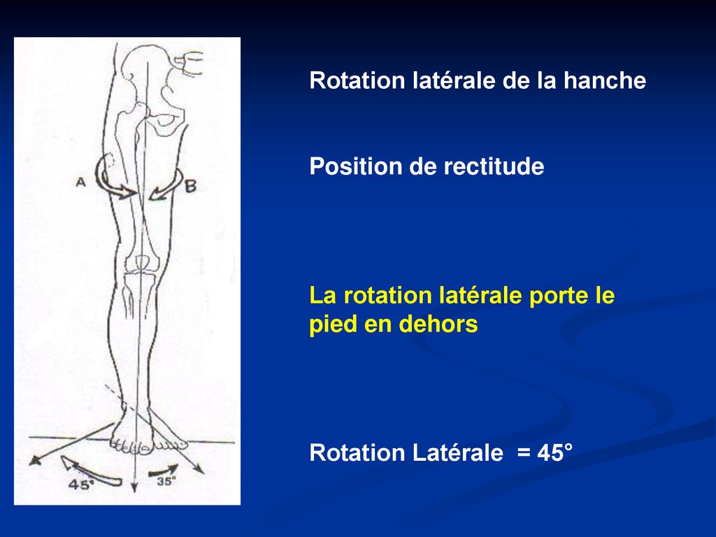 Rotation latérale de la hanche