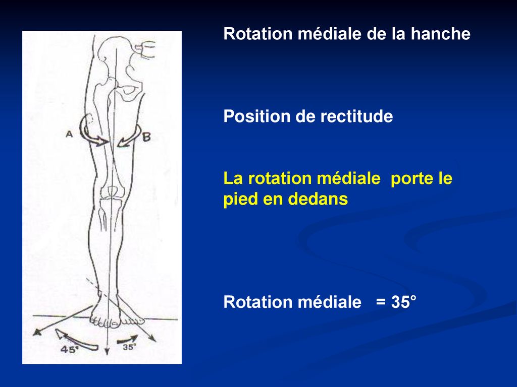Rotation médiale de la hanche